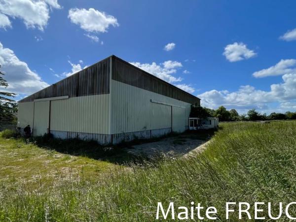 Vente murs / Local Industriel / Bâtiment