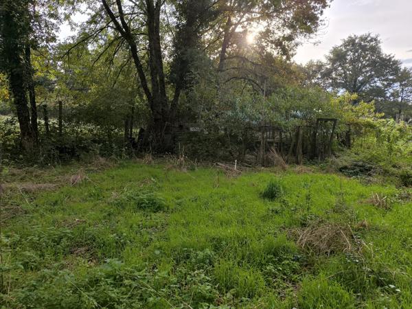 Maison dans Terres-de-Haute-Charente