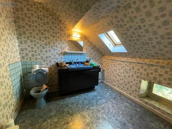 Maison à vendre à Peyre en Aubrac en Lozère (48130), ref : 48032-113