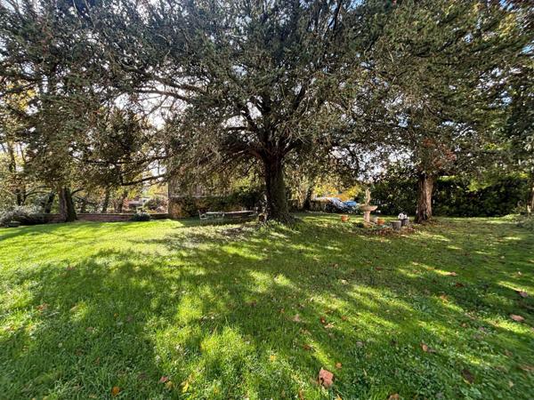 Appartement 6 pièces - 223 m²