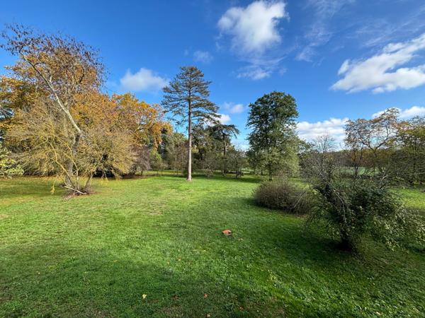 Appartement 6 pièces - 223 m²