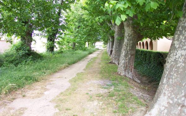 Appartement à vendre    2 pièces • 30 m2 Saint-Cyprien