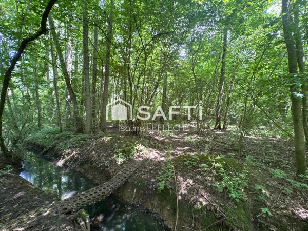 Terrain de loisirs avec bois, étang & chalet