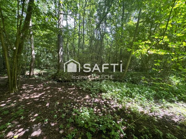 Terrain de loisirs avec bois, étang & chalet