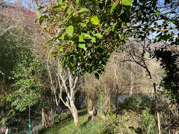 LE MAS D'AZIL : MAISON DE VILLAGE T3 AVEC JARDIN A RAFRAICHIR