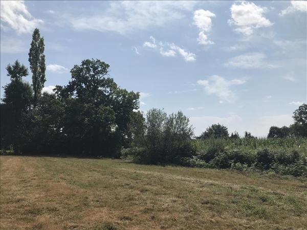 Terrain à vendre |  Argagnon |  2356 m²