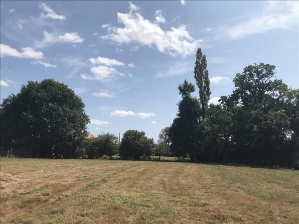 Terrain à vendre |  Argagnon |  2356 m²