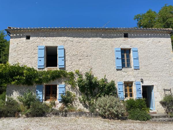 Montaigu-de-Quercy (82150) TARN ET GARONNE MONTAIGU DE QUERCY. ensemble en pierre avec piscine, 13 hectares, jolie vues