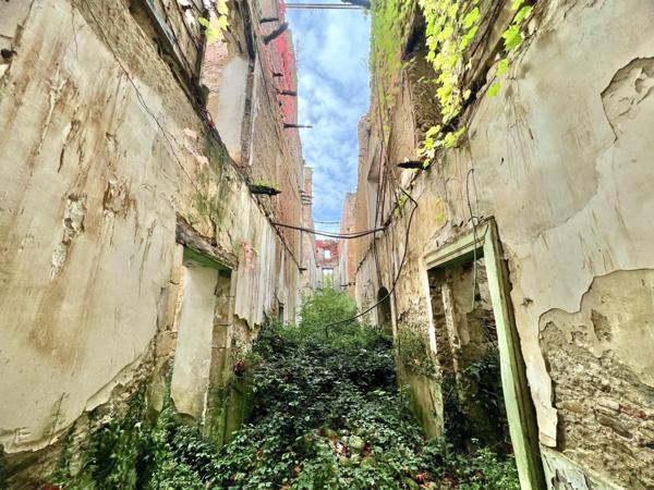 Abbaye du 14e et château du 19e en ruine sur 17ha