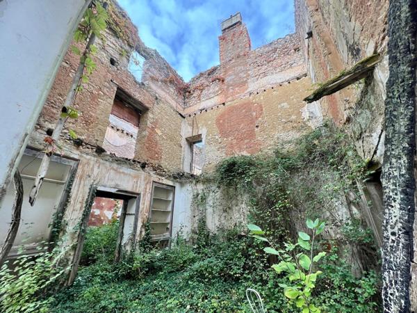 Abbaye du 14e et château du 19e en ruine sur 17ha