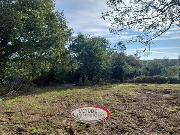 MACHECOUL ST MEME : Vue imprenable sur la vallée du Tenu, maison en pierres 105 m² + dépendances à rafraîchir
