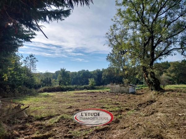 MACHECOUL ST MEME : Vue imprenable sur la vallée du Tenu, maison en pierres 105 m² + dépendances à rafraîchir