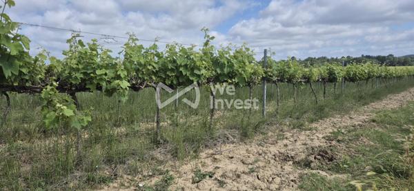 OPPORTUNITÉ EXCEPTIONNELLE - DOMAINE VITICOLE 19,65 HA