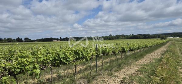 OPPORTUNITÉ EXCEPTIONNELLE - DOMAINE VITICOLE 19,65 HA