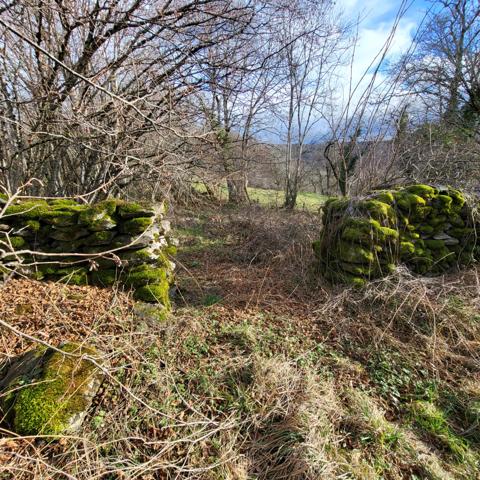 Belle grange en pierres Trizac (15400)