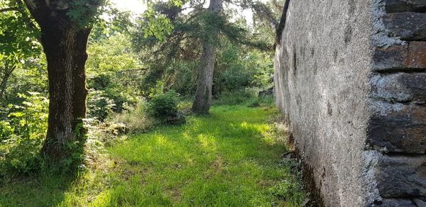 Belle grange en pierres Trizac (15400)