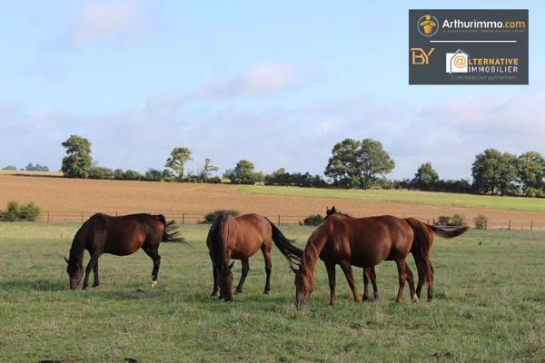 Vente Propriété 26 pièces 979 m2 à Laval