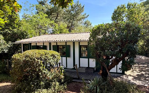 Cap Ferret 44 hectares 2eme ligne, plage du Mimbeau, 5 ravissantes cabanes bois sur terrain de 980 m2