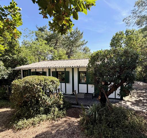 Cap Ferret 44 hectares 2eme ligne, plage du Mimbeau, 5 ravissantes cabanes bois sur terrain de 980 m2