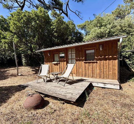 Cap Ferret 44 hectares 2eme ligne, plage du Mimbeau, 5 ravissantes cabanes bois sur terrain de 980 m2