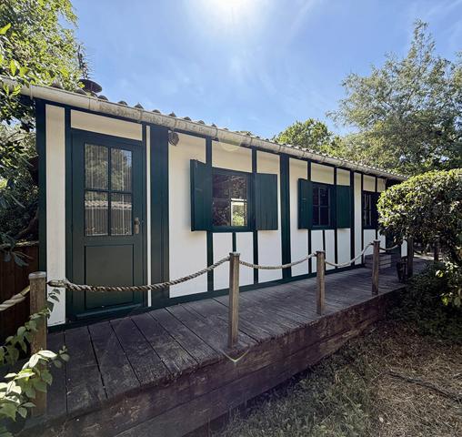 Cap Ferret 44 hectares 2eme ligne, plage du Mimbeau, 5 ravissantes cabanes bois sur terrain de 980 m2