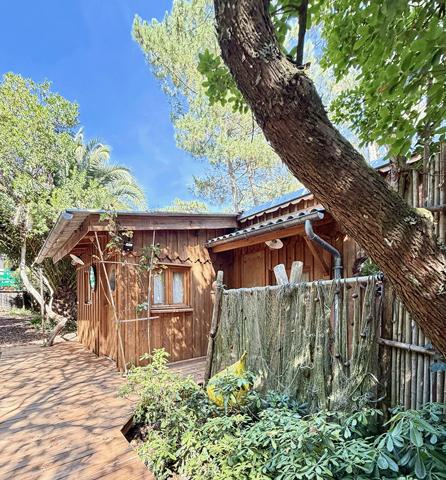 Cap Ferret 44 hectares 2eme ligne, plage du Mimbeau, 5 ravissantes cabanes bois sur terrain de 980 m2