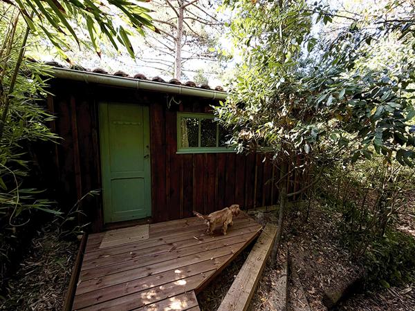 Cap Ferret 44 hectares 2eme ligne, plage du Mimbeau, 5 ravissantes cabanes bois sur terrain de 980 m2
