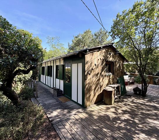 Cap Ferret 44 hectares 2eme ligne, plage du Mimbeau, 5 ravissantes cabanes bois sur terrain de 980 m2