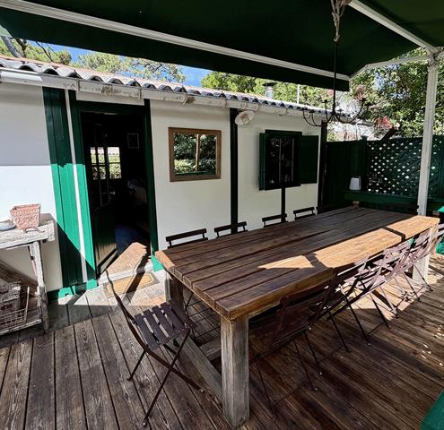 Cap Ferret 44 hectares 2eme ligne, plage du Mimbeau, 5 ravissantes cabanes bois sur terrain de 980 m2