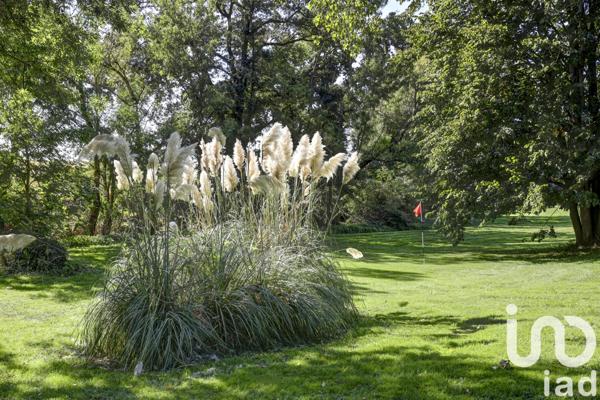 Maison à vendre 11 pièces 369 m² Baziège