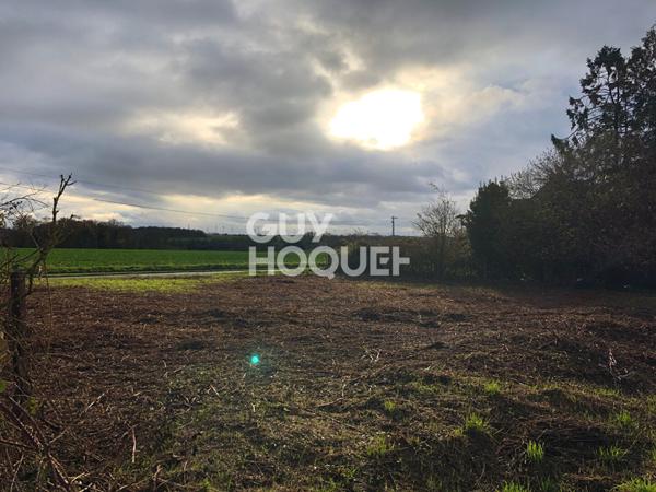 Terrain à vendre à FONTAINE LES CAPPY (80340).