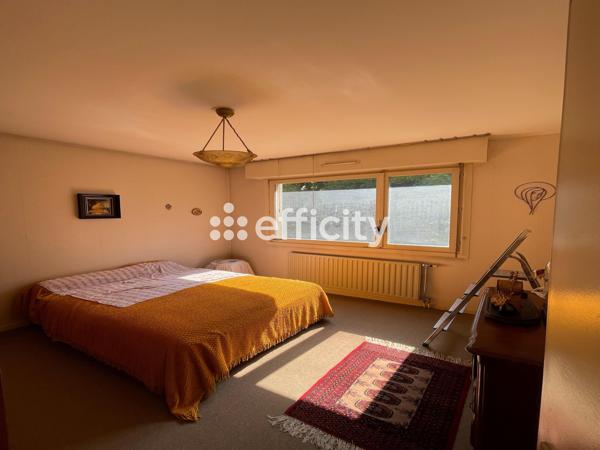 Appartement 2 pièces - 48 m² Exclusivité efficity