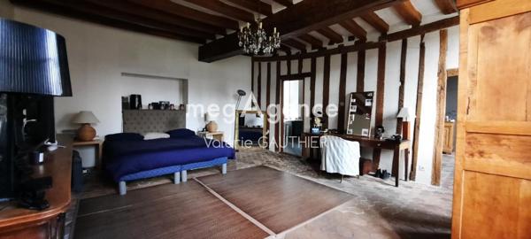 Maison à MONTOIRE-SUR-LE-LOIR, 41800 - 9 pièces 310m²