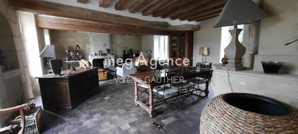 Maison à MONTOIRE-SUR-LE-LOIR, 41800 - 9 pièces 310m²