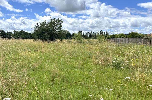 Terrain constructible de 590 m² viabilisé à Montauban secteur Birac