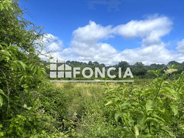 À vendre Terrain 12942 m² - Saint-médard-en-jalles 33160