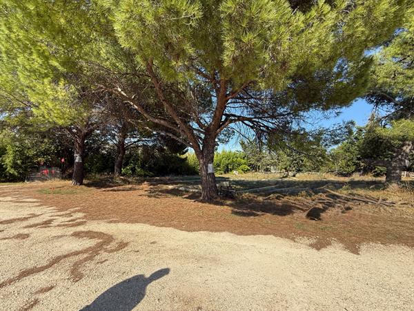 Terrain Vauvert 1001 m2