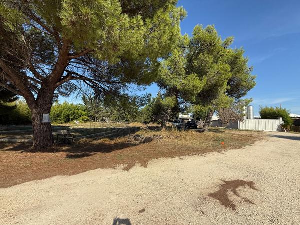 Terrain Vauvert 1001 m2