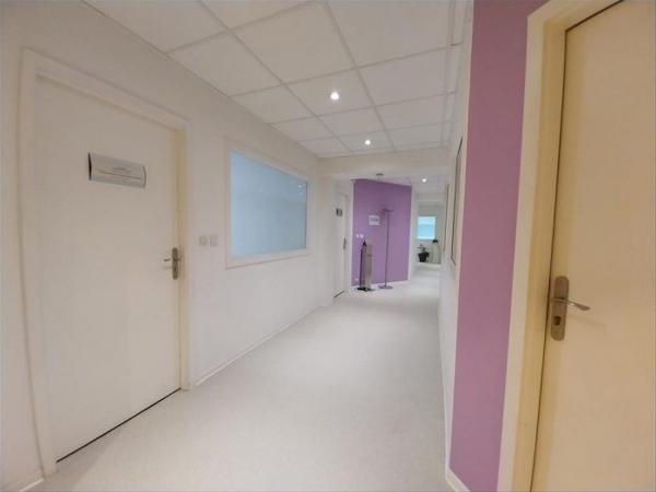 Local professionnel Strasbourg 290 m²