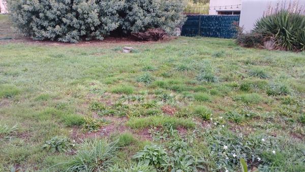 Terrain à vendre de 310,00 m² REZE (44)