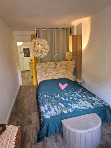 Appartement T2 avec locataire en place-idéal investissement locatif Angers