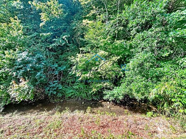 COUP DE CŒUR – DUPLEX RÉNOVÉ 97 M², 3 CHAMBRES, AU CALME FACE À LA NATURE SAINT GENIX SUR GUIERS (73)