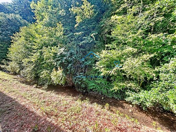 COUP DE CŒUR – DUPLEX RÉNOVÉ 97 M², 3 CHAMBRES, AU CALME FACE À LA NATURE SAINT GENIX SUR GUIERS (73)