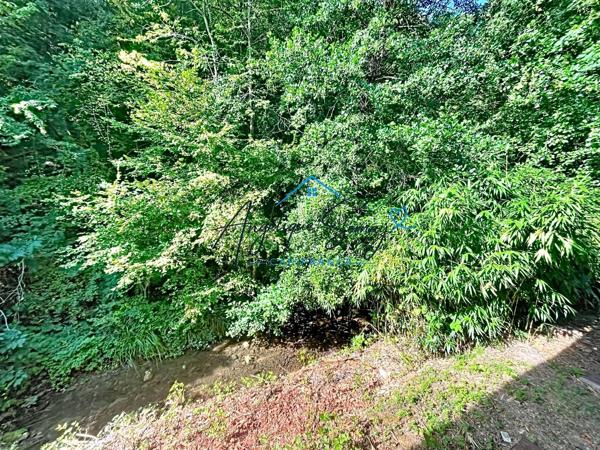 COUP DE CŒUR – DUPLEX RÉNOVÉ 97 M², 3 CHAMBRES, AU CALME FACE À LA NATURE SAINT GENIX SUR GUIERS (73)