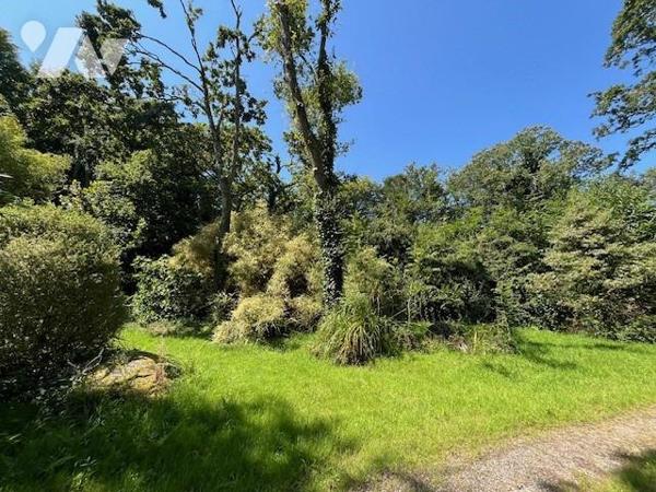 PLOUZANÉ - CADRE CAMPAGNE MAIS PROCHE DE TOUT - 142M² - 5 CH - 3170M² de terrain