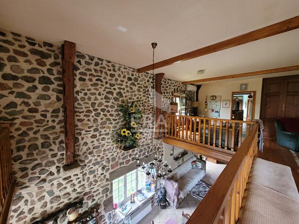 Maison Saint Privat d'Allier 10 pièces 482 m2