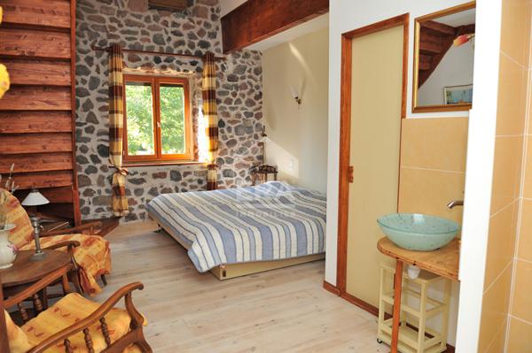 Maison Saint Privat d'Allier 10 pièces 482 m2