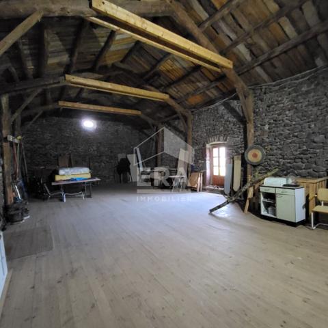 Maison Saint Privat d'Allier 10 pièces 482 m2