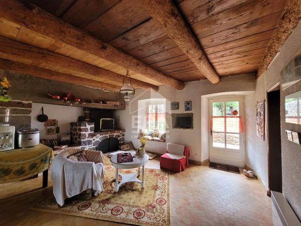 Maison Saint Privat d'Allier 10 pièces 482 m2