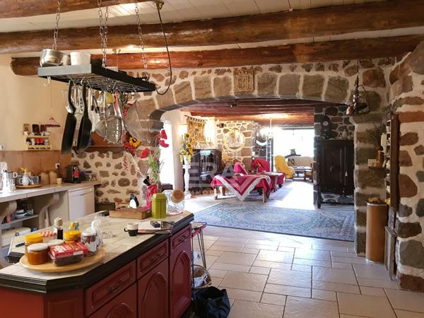 Maison Saint Privat d'Allier 10 pièces 482 m2